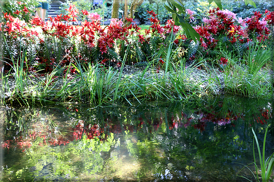 foto Giardini Trauttmansdorff - Boschi del Mondo